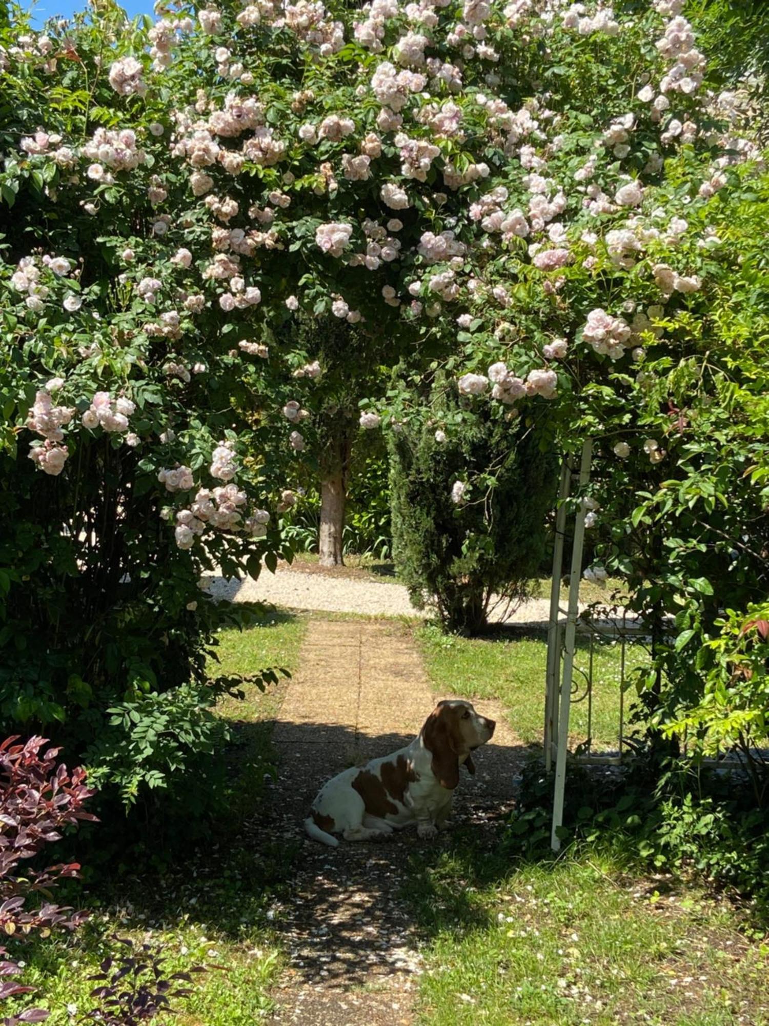 Gite De Charme Jas De Berrias Ardeche Du Sud Piscine Villa ภายนอก รูปภาพ